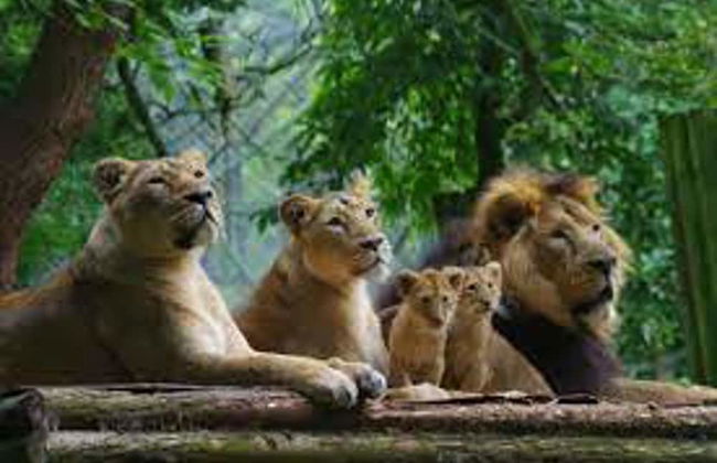 Quirky Loft Apartment in Paignton With sea Views - Foto 19