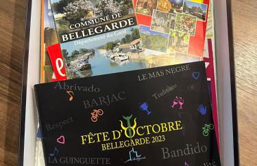 Sublime et paisible maison sur Bellegarde entre Nimes et Arles - Foto 7