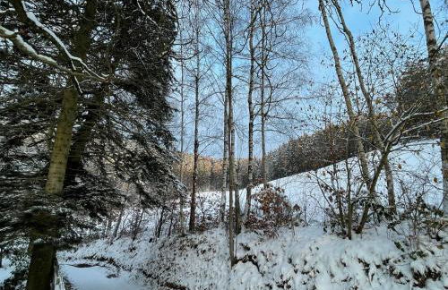 Auszeit im Wald - mit Schwimmbad! - Foto 21