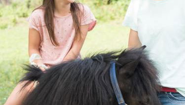 Ferienhof Henn - Foto 2