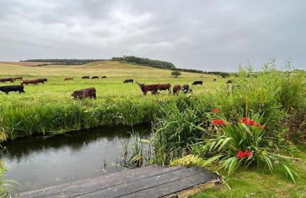 Flint Cottage - Foto 25