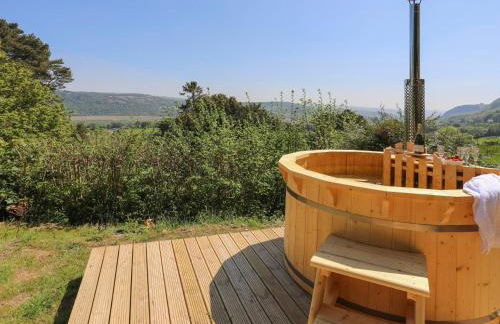 Ty'n y Cae - Foto 51