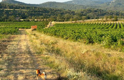 l escapade Corbières - Foto 55