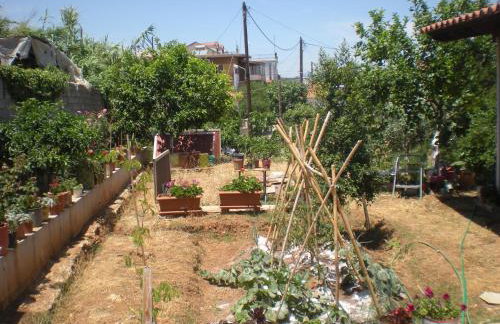 Petalidi Gedigio - Foto 9