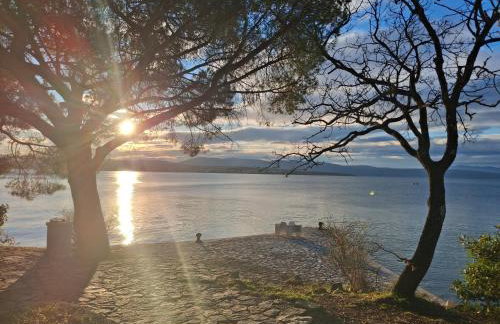 APARTMAN IVONA U PRIZEMLJU - Foto 34