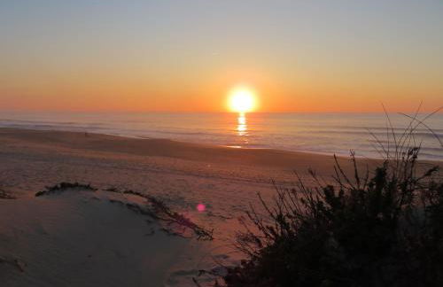 Casa da Murtinheira - Foto 52