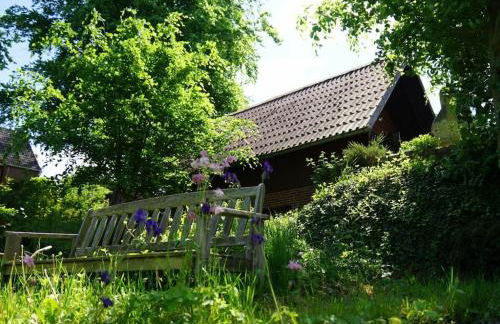 Holiday home in Süttorf with swimming pool - Foto 3