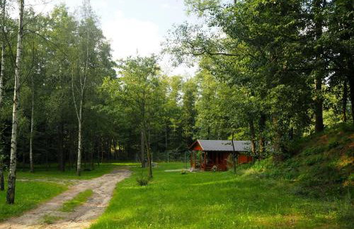 Ranczo w Dolinie Biskupice - Foto 34