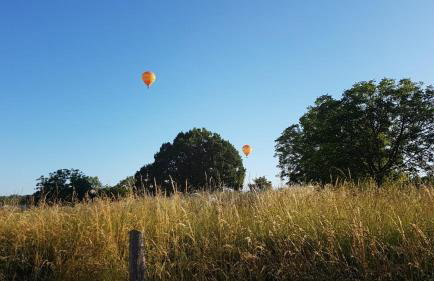 Les Roulottes Pomponnaises - Foto 10