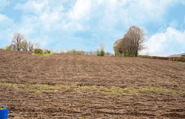 Holiday Home With Garden - Photo 40