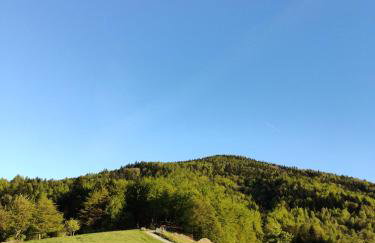 MICHAŁÓWKA - Domek w Górach przy Lesie - Energylandia - Foto 41