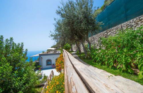 Le Contrade by Sosòre Holiday Homes -Amalfi Coast - Foto 5