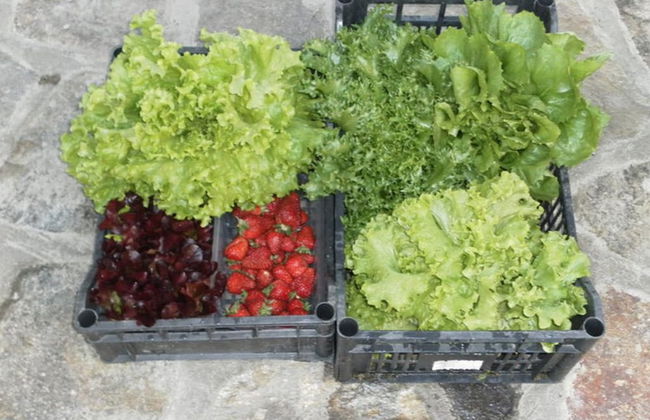 Agriturismo da Ysy - Foto 27