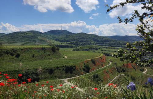 Ferienwohnung Angie - Foto 28