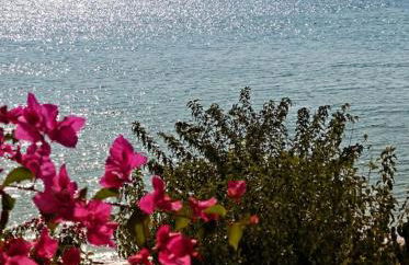 Haraki Mare Studios beach front - Foto 34