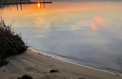 Pension am Reethaus - Foto 14