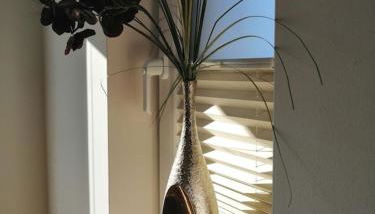 Gemütliche Ferienwohnung Oase 22 - Foto 5