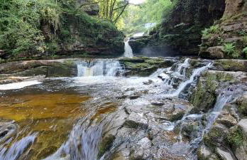 Elm Grove - Photo 18