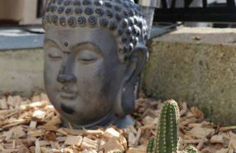 La Vallée Appartement Proche du Mont Saint Michel - Foto 13