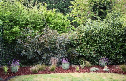 L'Eden Chic - Balneo - Jardin - Parking gratuit - Foto 40