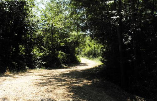 Holiday Home Borna - Foto 33