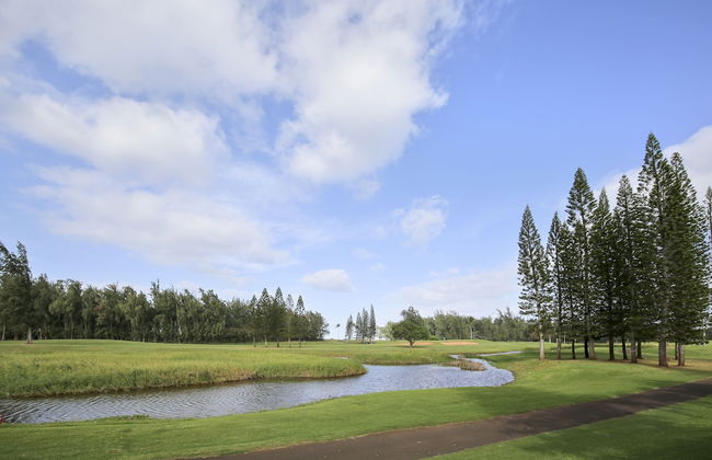 Turtle Bay Lilikoi**ta-009966796801 1 Bedroom Condo by RedAwning - Foto 14