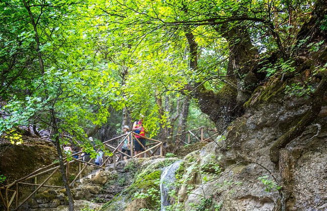 Tour dei villaggi di Rodi occidentali e della Valle delle farfalle - Foto 7