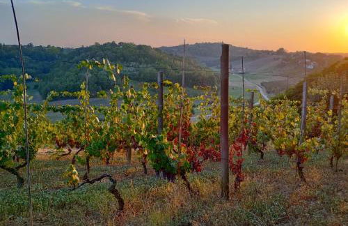 Casa delle foglie sussurranti - Foto 15