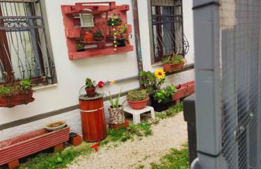 B&Brothers-Tziu Predu - Foto 4