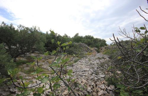 Secluded fisherman's cottage Cove Ladjin - Landjin, Pasman - 8500 - Photo 33