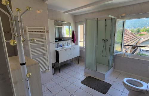 Au bord du Foron - Foto 20