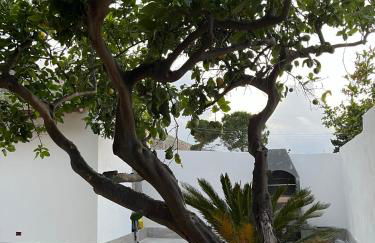 Casa indipendente - Foto 11