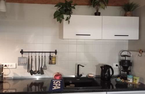 Maison Les Hirondelles - Photo 57