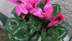 Casa l'Acerone - Foto 5