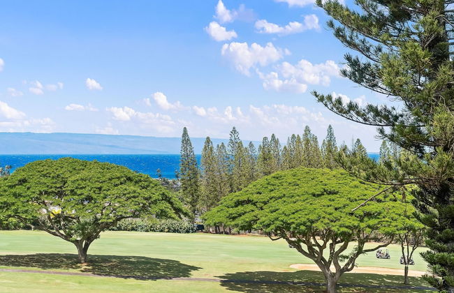 Kapalua Golf Villas 17t8 - Foto 54