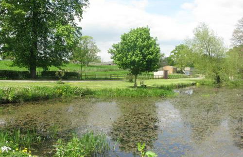 Moo Cow Cottage Self Catering - Photo 30