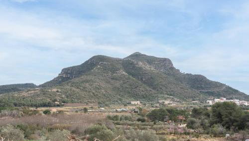 Falaguera Cabaña 1 - Photo 5