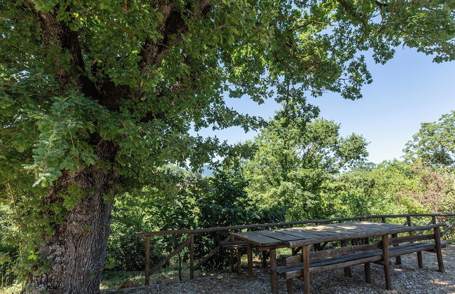 Lo Specchio Di Alice - Foto 25