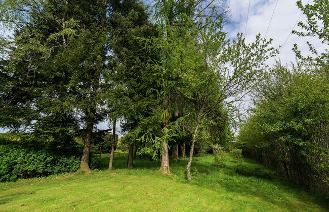 Charming Cottage in Chiny - Photo 27