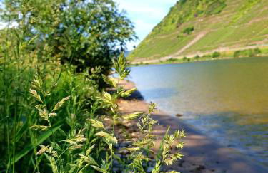 Ferienwohnung Ambiente II und III - Foto 54