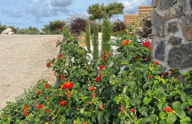 LIViT Condo Elafonisi - Foto 8