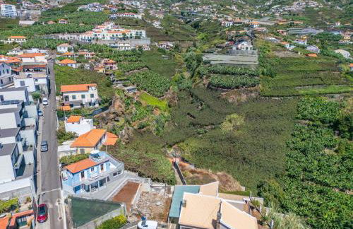 The Vinehill House - Foto 67