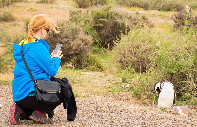 Punta Tombo Trip + Dolphin Spotting - Photo 8