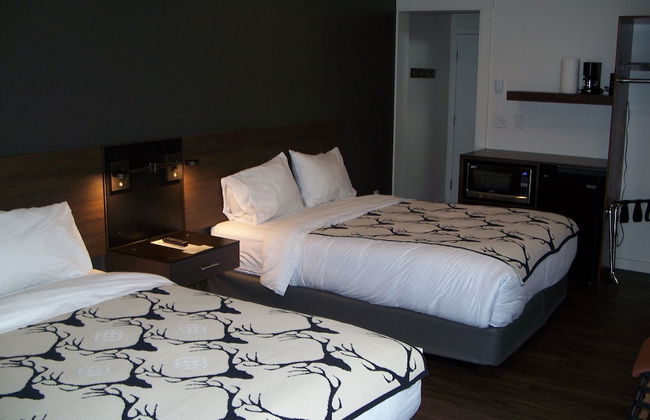 Terra Nova Cabins - Photo 9