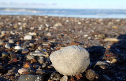 Ferienhaus Mine Sehnsucht - Foto 14