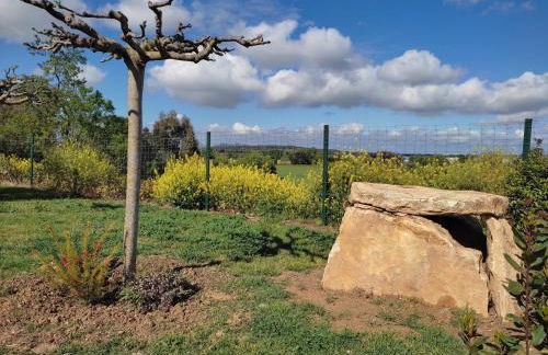 Can Nentia - Foto 21