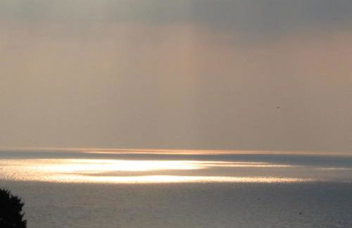 Level Houses - Foto 48