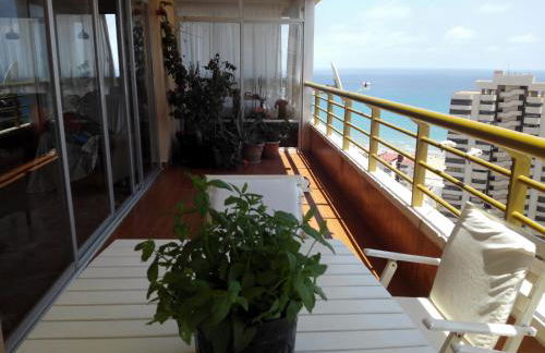 Apartamento Leo Playa de San Juan - Photo 3