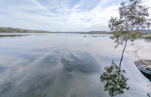 Bela Vista - Foto 28