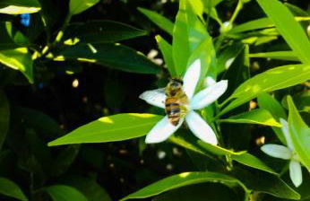 Il Giardino del sole - Foto 120